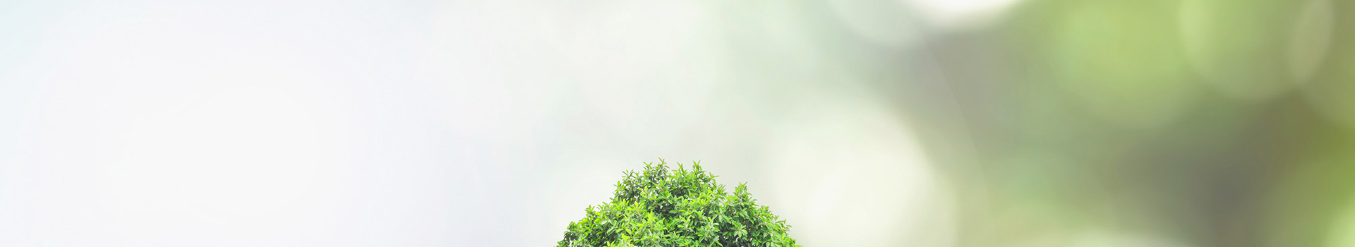 経営理念｜ライフライン取次・紹介、駆けつけのレプリス株式会社